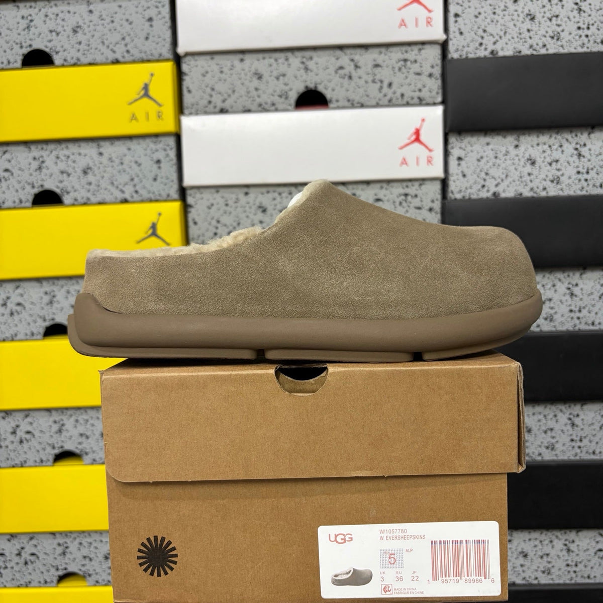 UGG Eversheepskin Mule – Women’s Slip-On Suede Clog with Sheepskin Lining in Almond